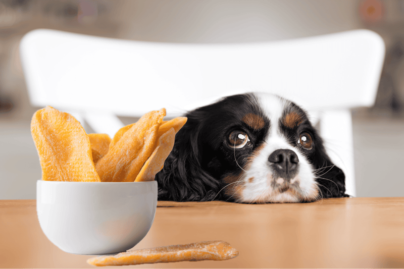 Healthy, tasty snacks for dogs by Dogfix.com.