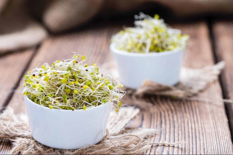 Close-up of fresh, healthy sprouted bean microgreens in white bowls on wooden surface.