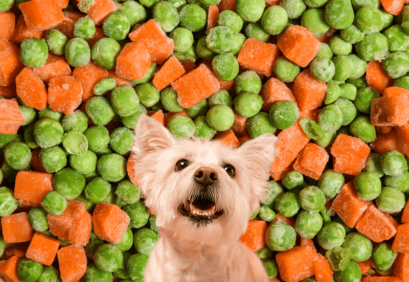 Fresh carrots and green peas for healthy dogs.
