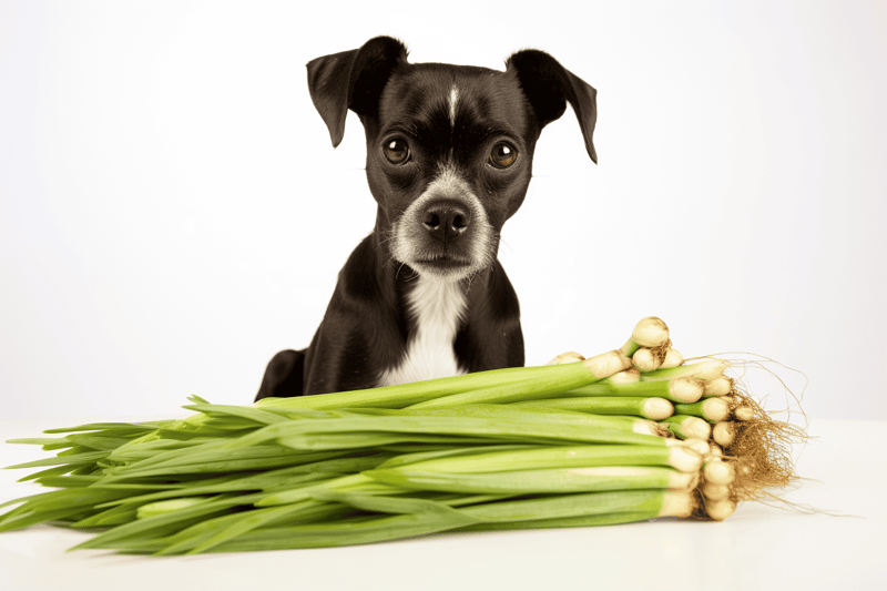 Adorable puppy with fresh green onions, emphasizing natural dog diet and wellness.
