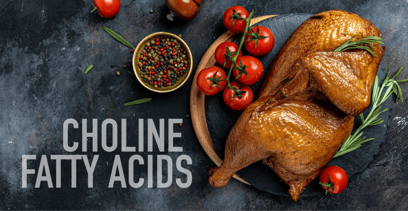 Delicious roasted meat with fresh cherry tomatoes, herbs, and seasoning on a rustic dark background.