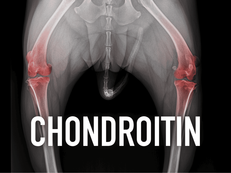 Dog friendly hip dysplasia and joint health solutions from Dogfix.