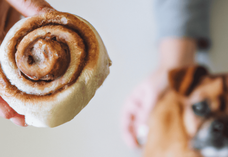 Close-up of a freshly baked cinnamon roll with icing and swirled cinnamon filling.