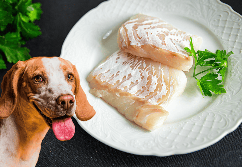 Dog food, fish, pet nutrition, healthy dog diet, fresh fish for dogs, natural dog food, Pet Nutrition.