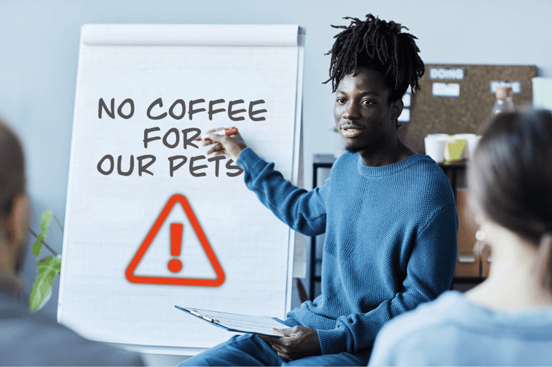 Pet Care Support Services at Dogfix.com.