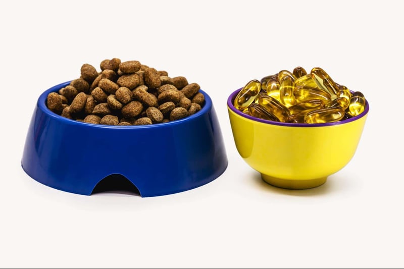 Colorful pet bowls with dry dog food and softgel omega-3 fish oil capsules.