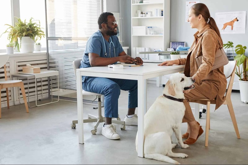 Friendly vet talking to dog owner in pet clinic setting.
