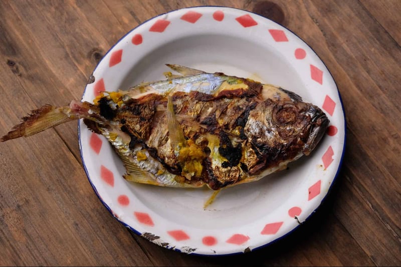 Pet-safe grilled fish served on a decorative plate for dogs and cats.