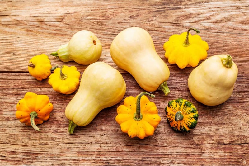 Bright yellow and creamy white mini pumpkins on rustic wooden background.