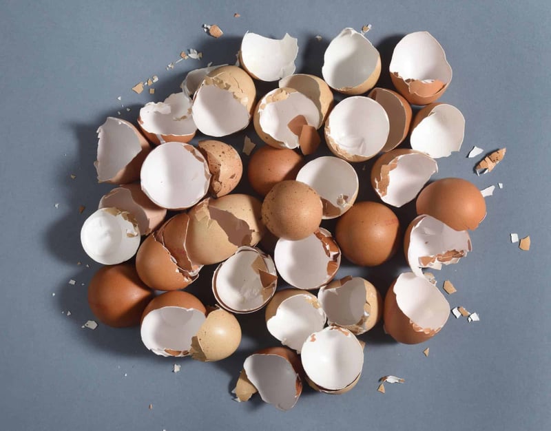 Broken eggshells, used for compost or animal diet, scattered on a blue background.