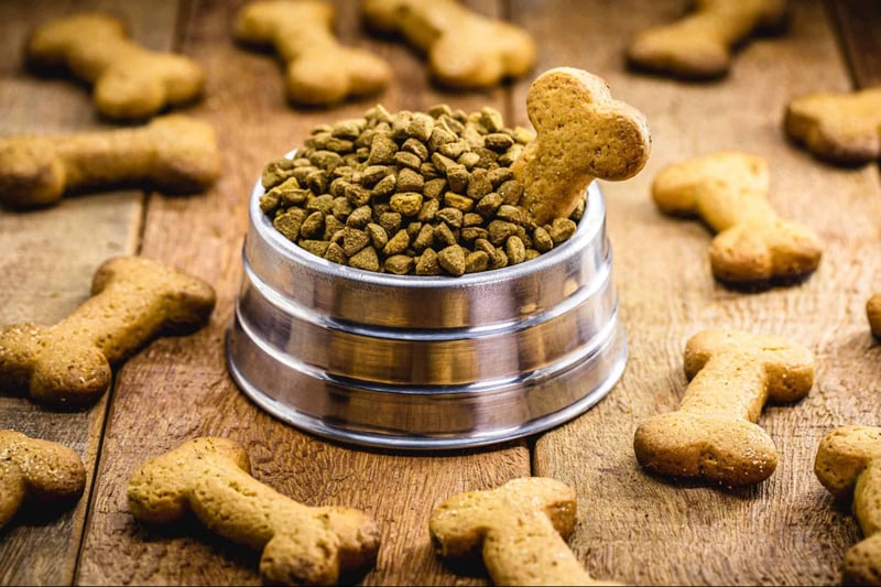 Healthy dog treats with biscuit and kibble on wooden background.