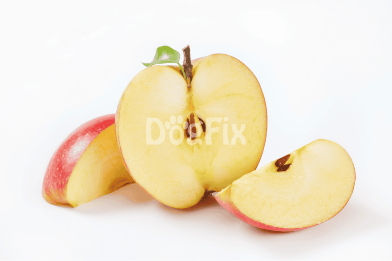 Fresh apple slices with red skin and juicy interior, ideal for canine and human consumption.