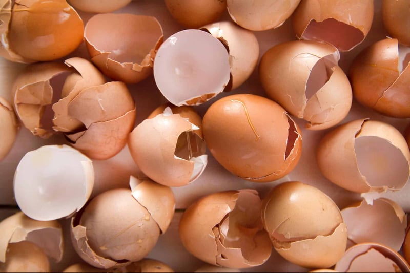 Egg shells, broken and whole, on a flat surface.