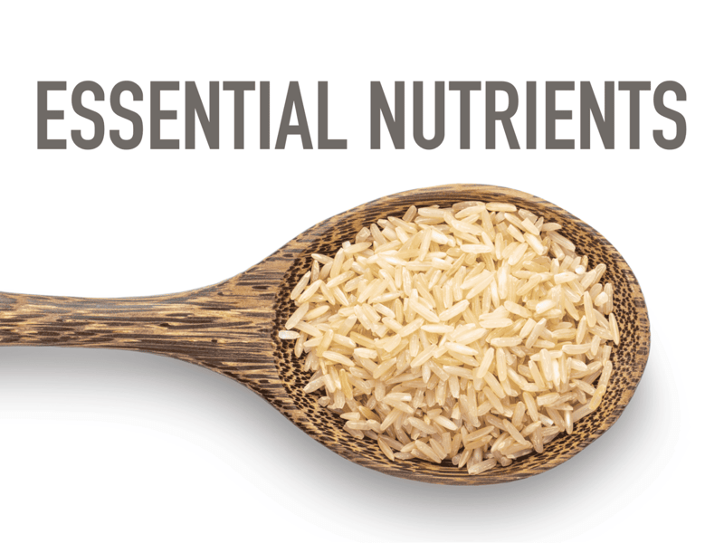 Healthy energy source for dogs.