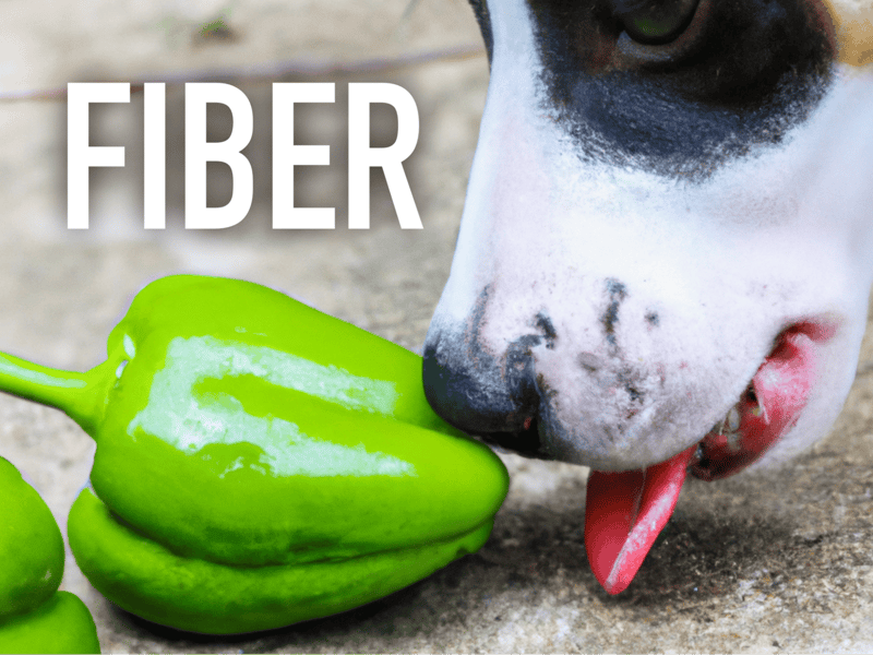 High-fiber green bell peppers with dog on a concrete surface.