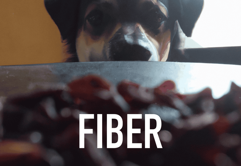 Fiber in Dried Cranberries