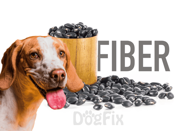 High-fiber black beans with a happy dog.