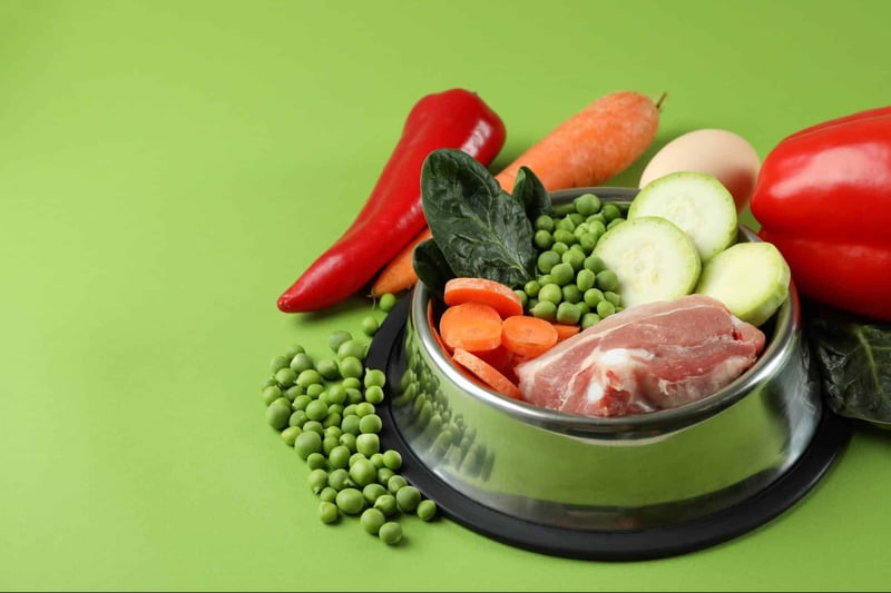 Dog food ingredients with vegetables and meat for healthy dogs.
