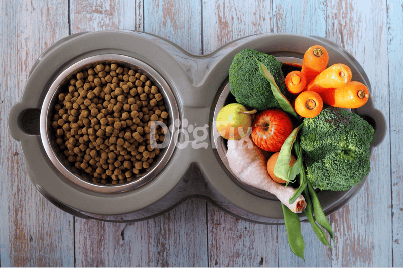 Dog food and fresh vegetables in a dual compartment bowl.