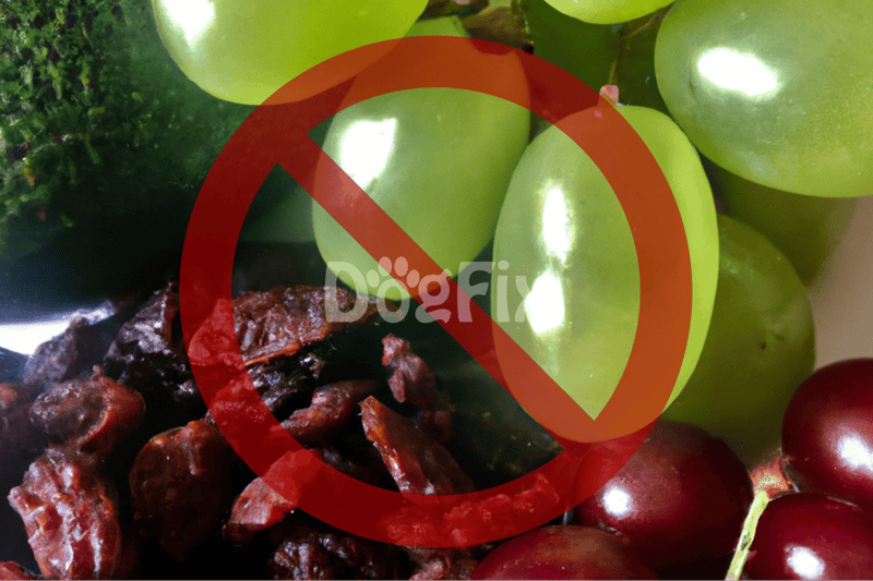 High-quality, dog-safe produce including grapes, raisins, and healthy vegetables for pets.