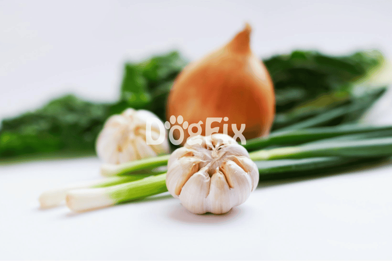 Fresh garlic, green onions, and vegetables for nutritious dog food ingredients | Dogfix.com.