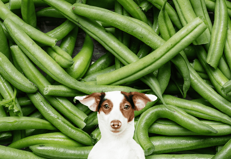 Green Beans