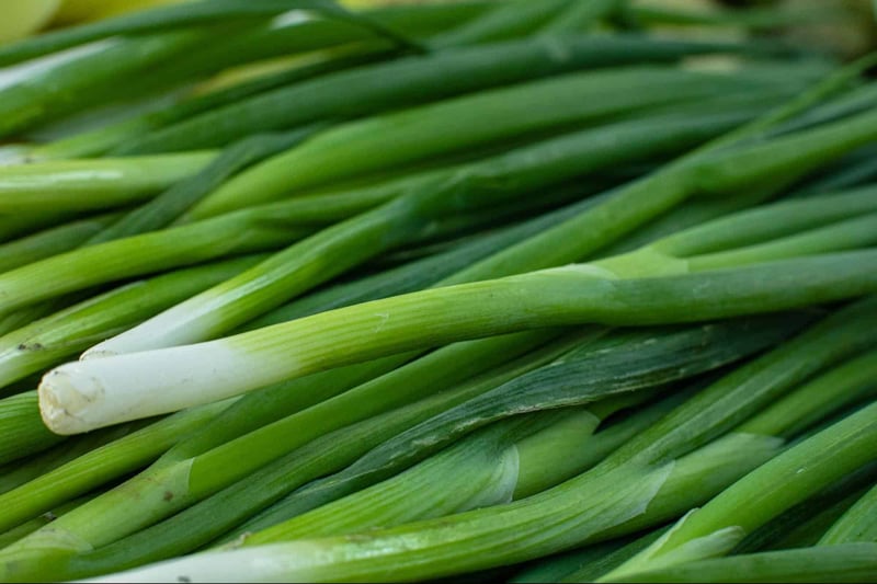 Bright green fresh green onions, perfect for enhancing pet diets and healthy ingredients.