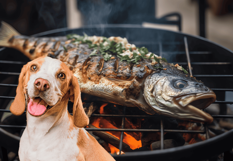 Dog watching grilled fish cooking on barbecue grill, delicious seafood meal, outdoor grilling, dog-friendly food.