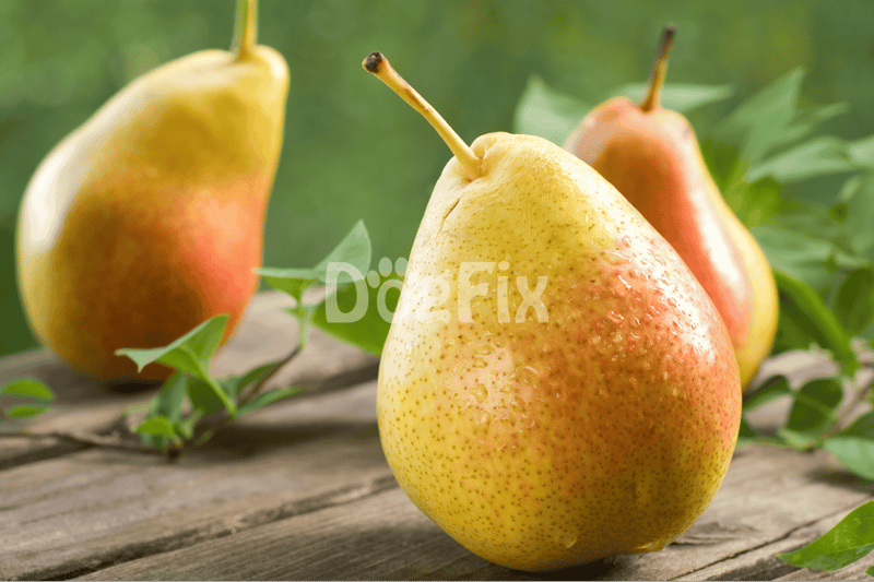 Juicy pears with water droplets on green leaves, perfect for healthy eating and snack inspiration.