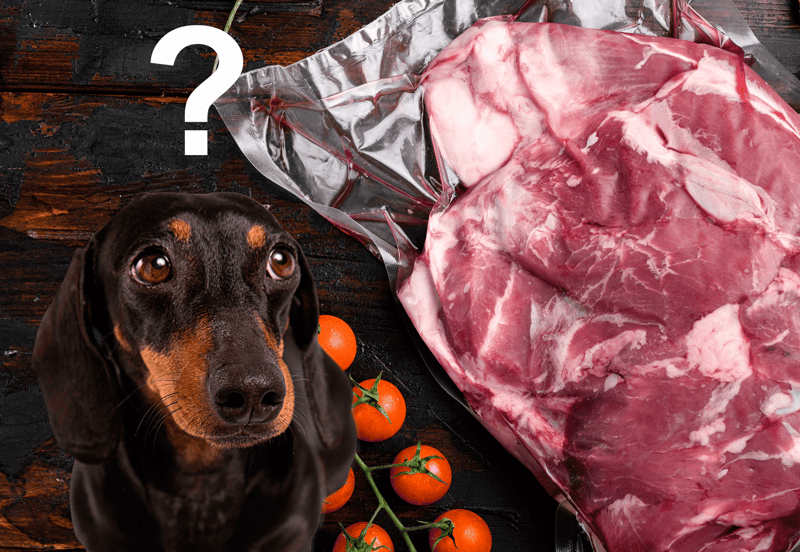 Dog looking at raw meat and cherry tomatoes on dark wooden background.