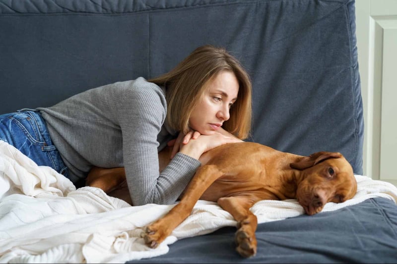 Woman lying on sofa, cuddling and comforting dog with gentle touch.