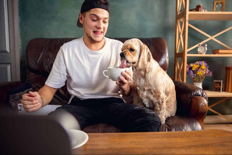 Cute dog licking owner's hand with a coffee mug in living room.