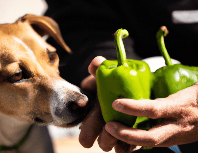 Close-up of a dog sniffing fresh green peppers in a person's hand.