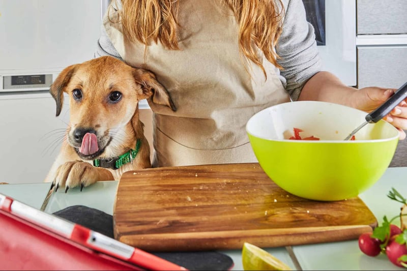 Close-up of a happy puppy with tongue out, next to a person mixing dog-friendly ingredients in a kitchen setting.