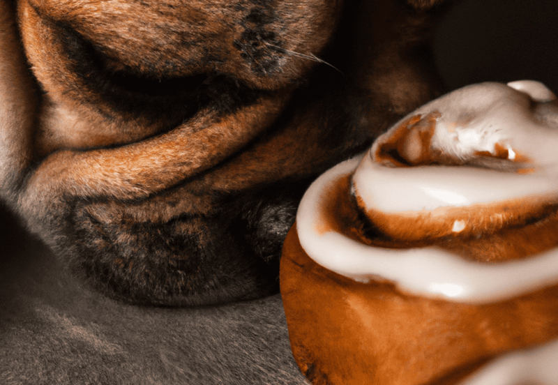 Close-up of a sleeping dog with milk bones, highlighting dog care and comfort.