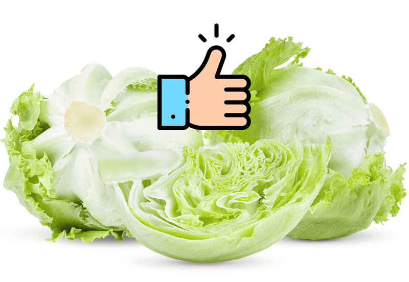 Clean, healthy lettuce for dogs' diet and nutrition. Perfect for pet health and wellness.