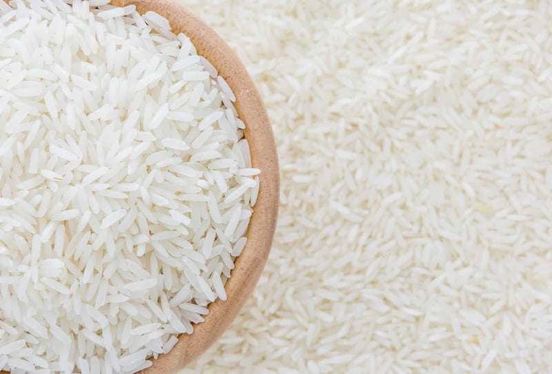 Is Jasmine Rice Good for Dogs