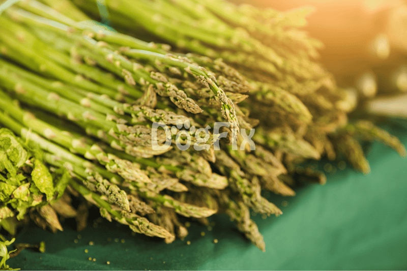 Is asparagus like a health bonus for dogs