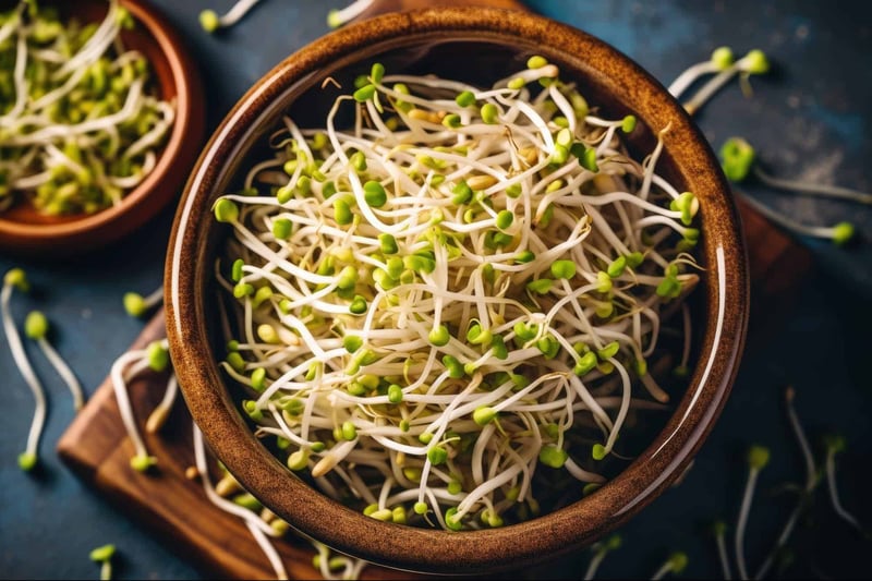 Alfalfa sprouts fresh in a bowl, ideal for homemade healthy dog treats and nutritious snacks.