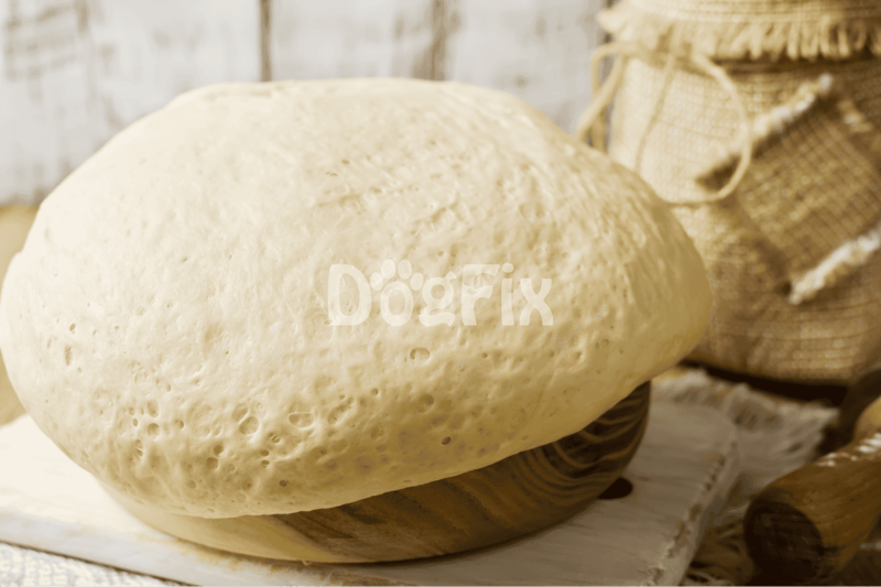 Fresh homemade cheese wheel ideal for dog treats and pet nutrition.