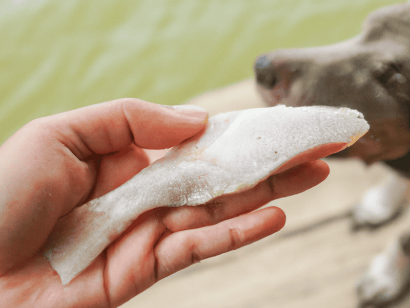 Dogfish skin treats for dogs and puppies.