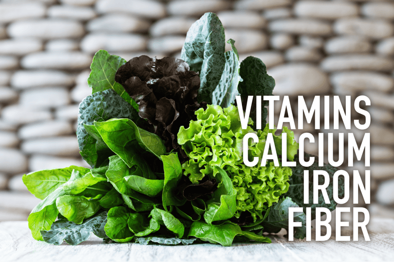 Vitamins, calcium, iron, fiber-rich fresh greens for healthy dog diet, promoting wellness.