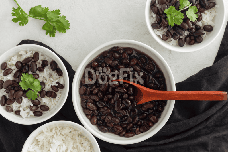 Rich black beans and white rice served with cilantro, perfect for nutritious dog treats and snacks.