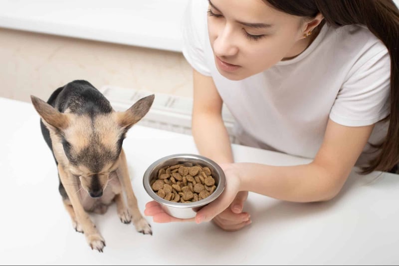 Dogfix.com pet care and nutrition solutions.