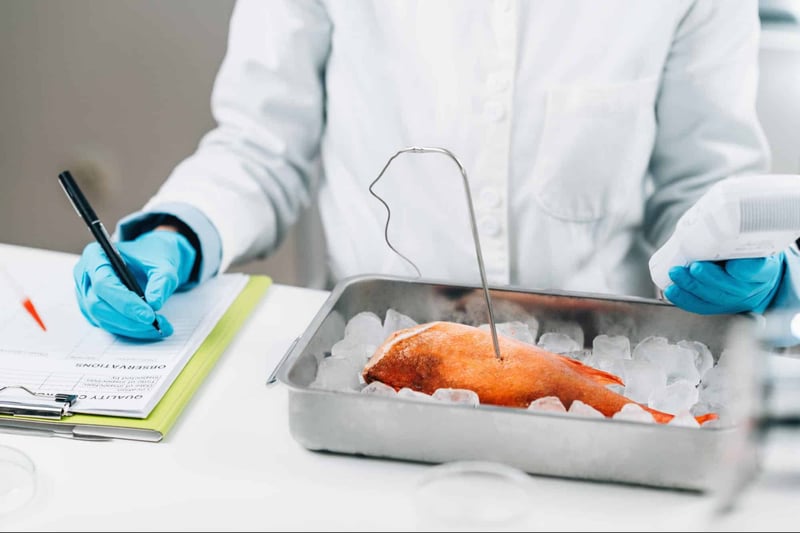 High-resolution image showing scientific evaluation of seafood for quality assurance.