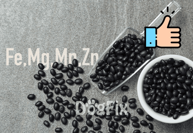 Healthy black beans for dog nutrition, high in protein and fiber. Perfect for nutritious pet meals.