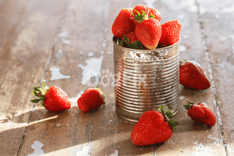 Juicy strawberries in a metal can with some scattered on a weathered wooden table.