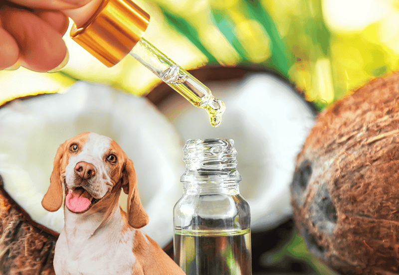 Nutritional Analysis