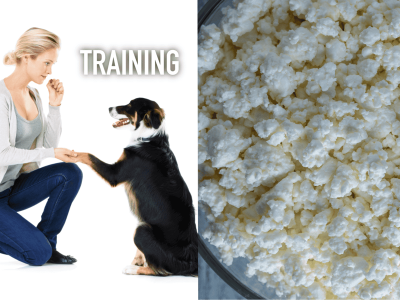 Close-up of crumbled cottage cheese, a healthy snack for dogs and pets.