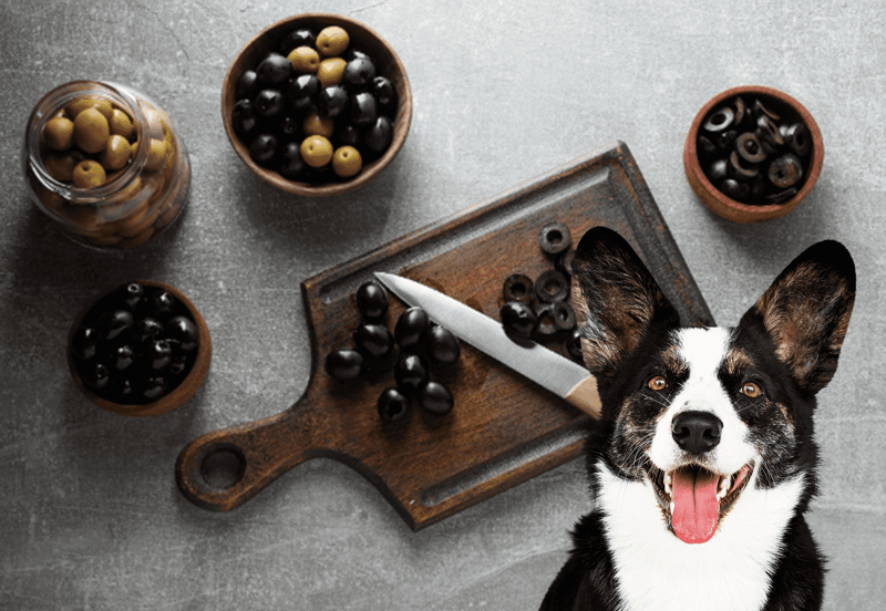 Delicious black and green olives on a wooden cutting board and in small bowls. Perfect for snacking or cooking.